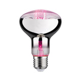 LED Reflektor E27 R80