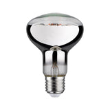 LED Reflektor E27 R80