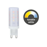 LED Stiftsockel 1er-Set
