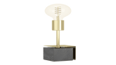 CARMITA