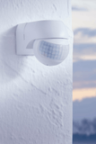 EGLO Safety & Comfort DETECT ME 1 Aussenleuchten