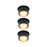 Gil Coin Basisset