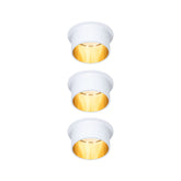 Gil Coin Basisset