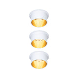 Gil Coin Basisset