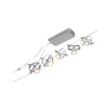 Cardan Basisset