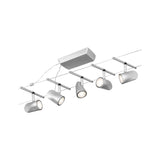 Cup Basisset