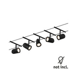 Cup Basisset