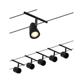 Cup Basisset