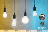LED Globe E27
