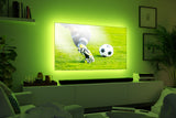TV Comfort Basisset 75 Zoll