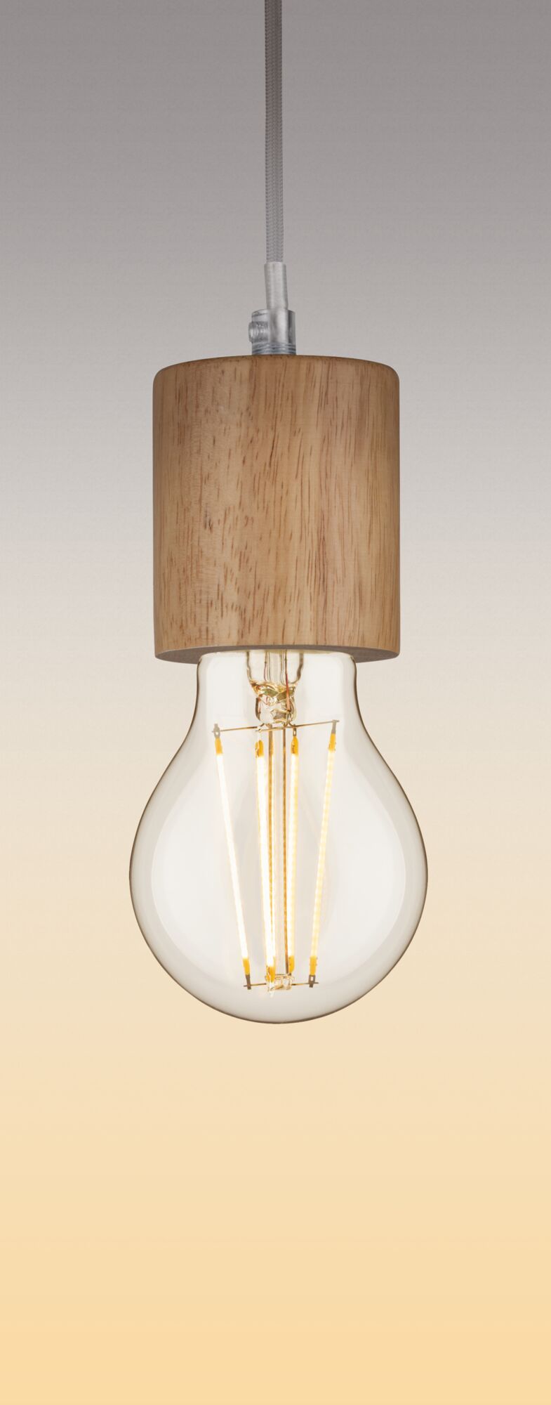 LED Birne  E27