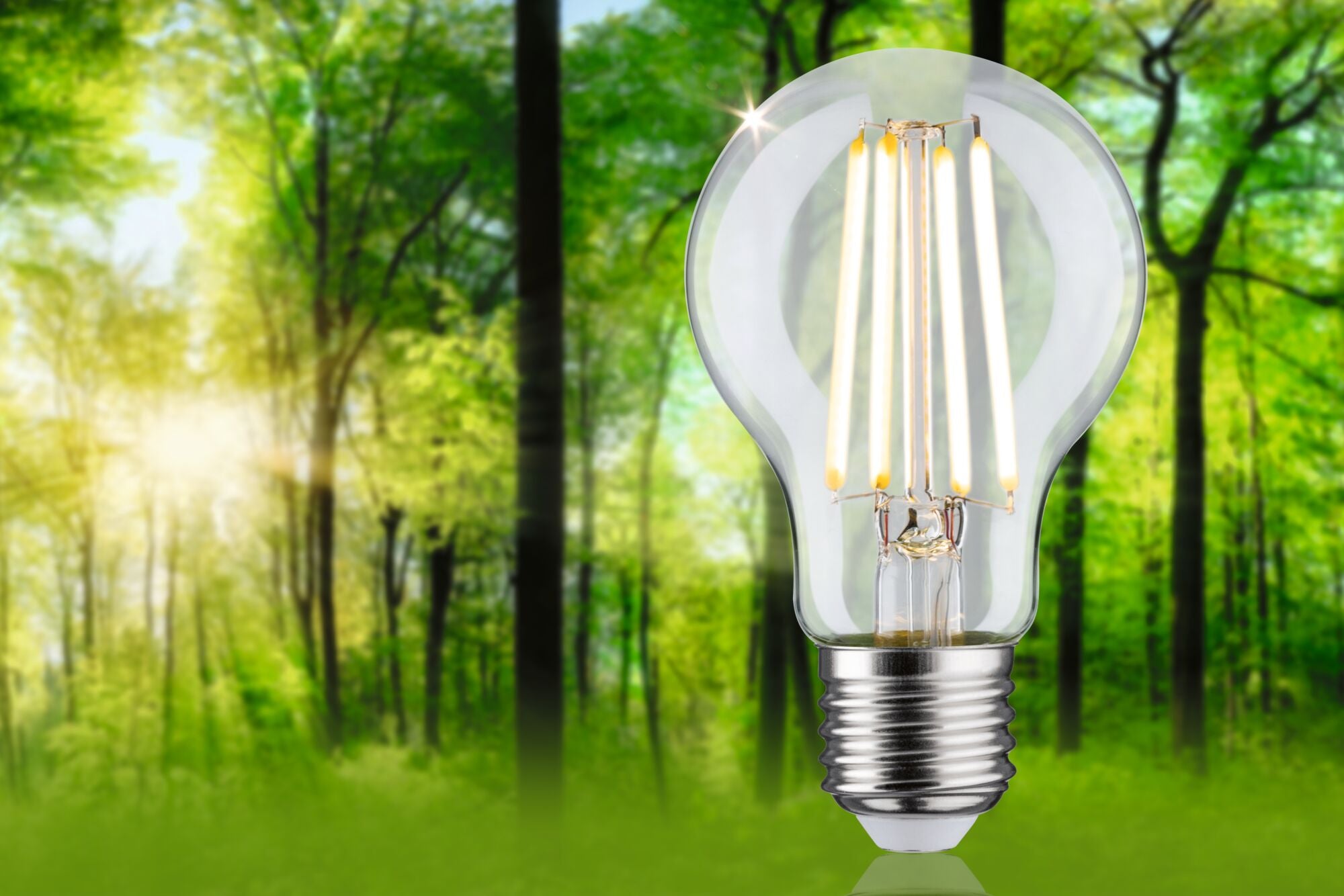 LED Birne  1er-Set