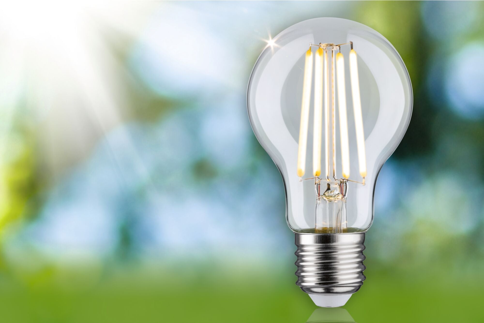 LED Birne  1er-Set