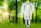 LED Birne  1er-Set