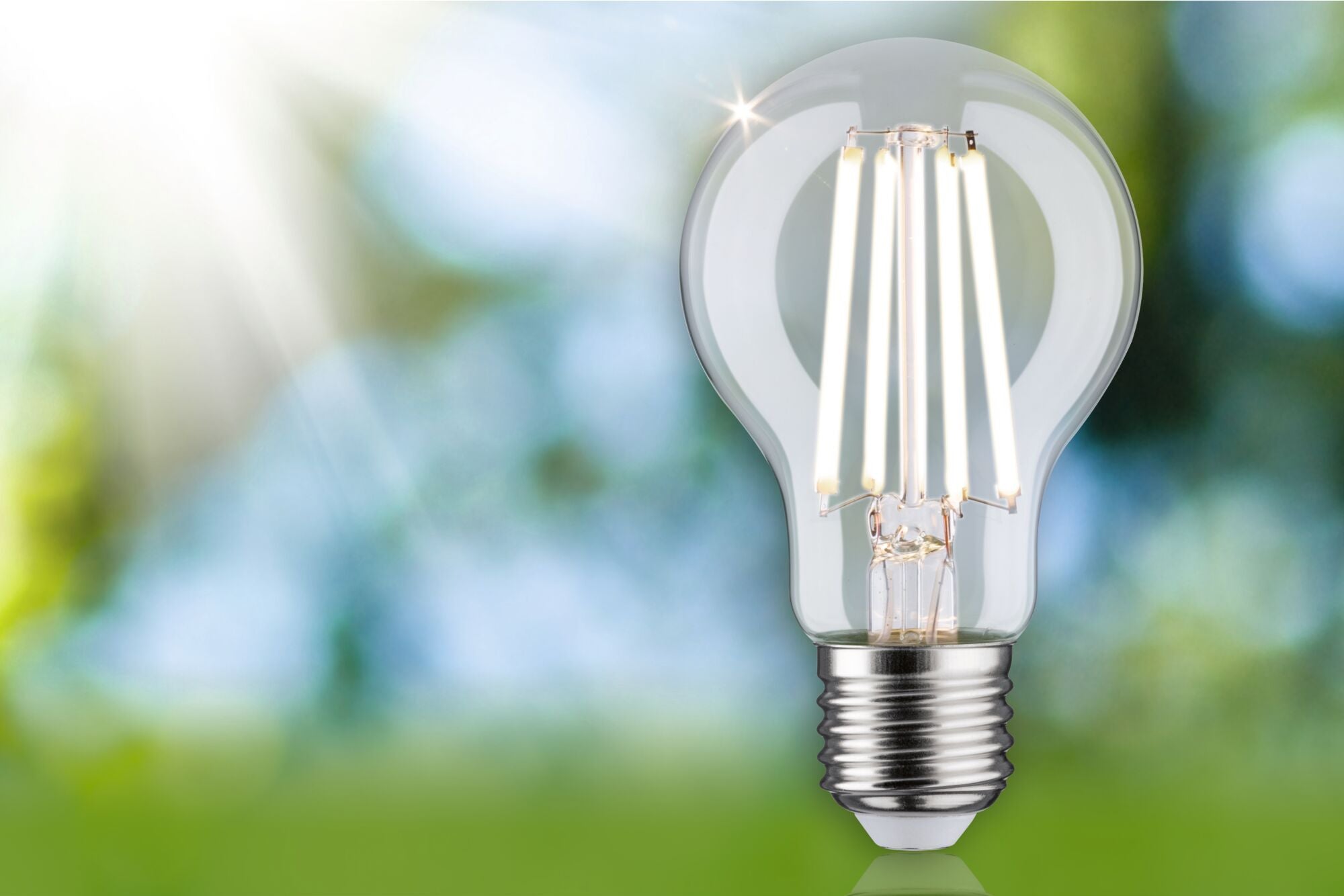 LED Birne  1er-Set