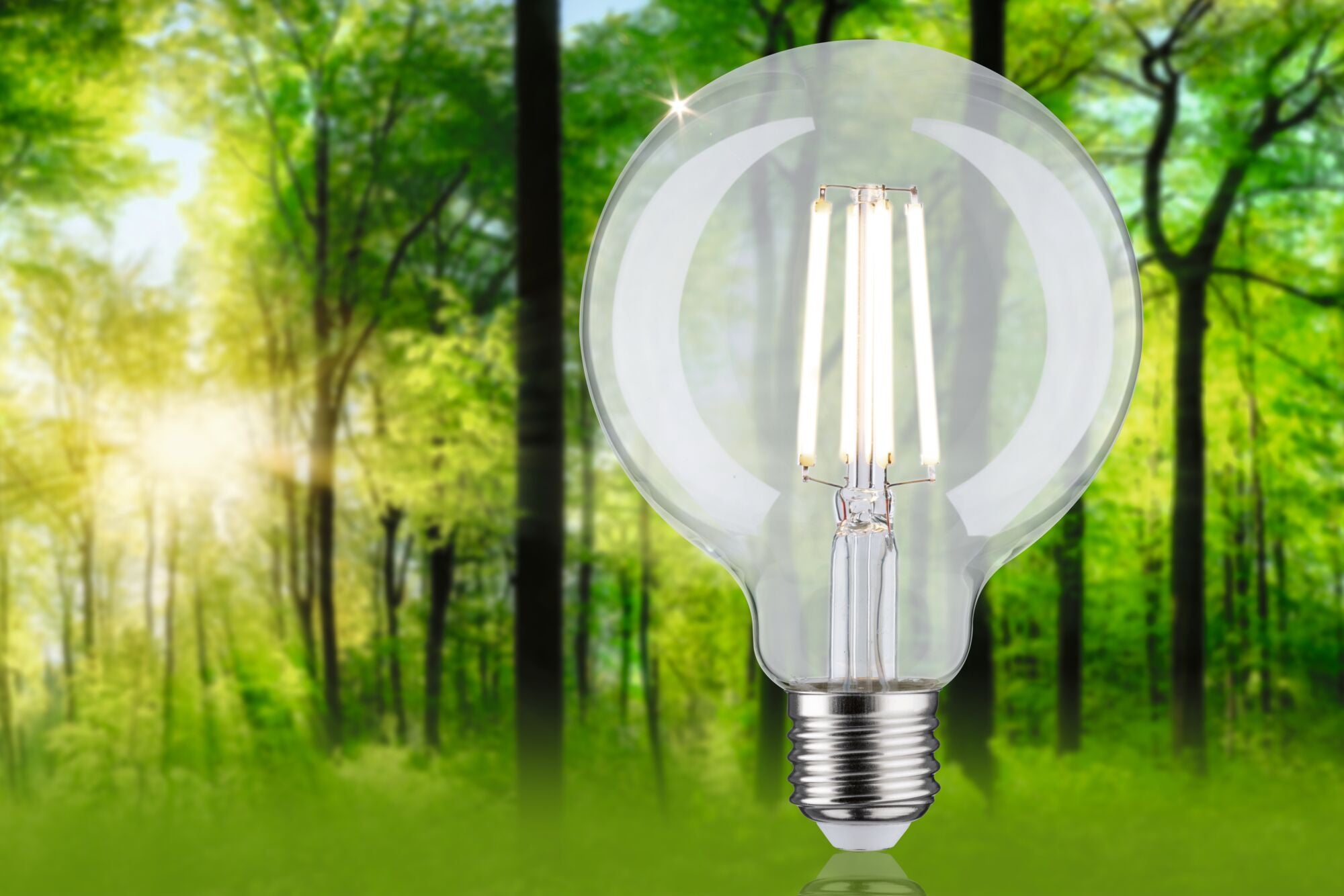 LED Globe  G95 E27