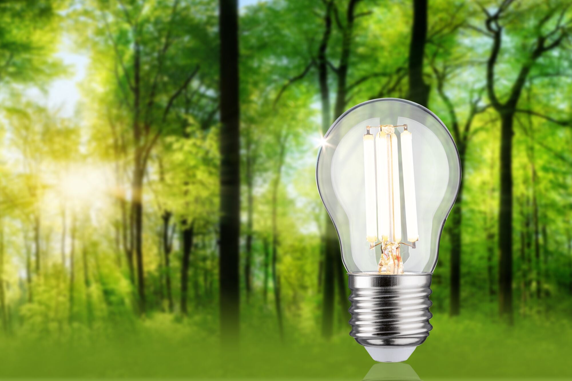LED Tropfen  1er-Set 80 mm