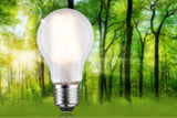 LED Birne  Einzelleuchte