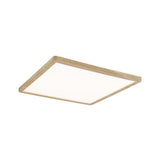 Atria Shine Backlight