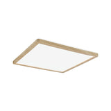 Atria Shine Backlight