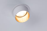 Gil Coin Basisset