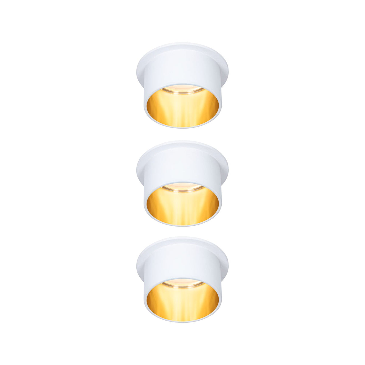 Gil Coin Basisset