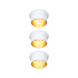 Gil Coin Basisset