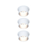 Gil Coin Basisset