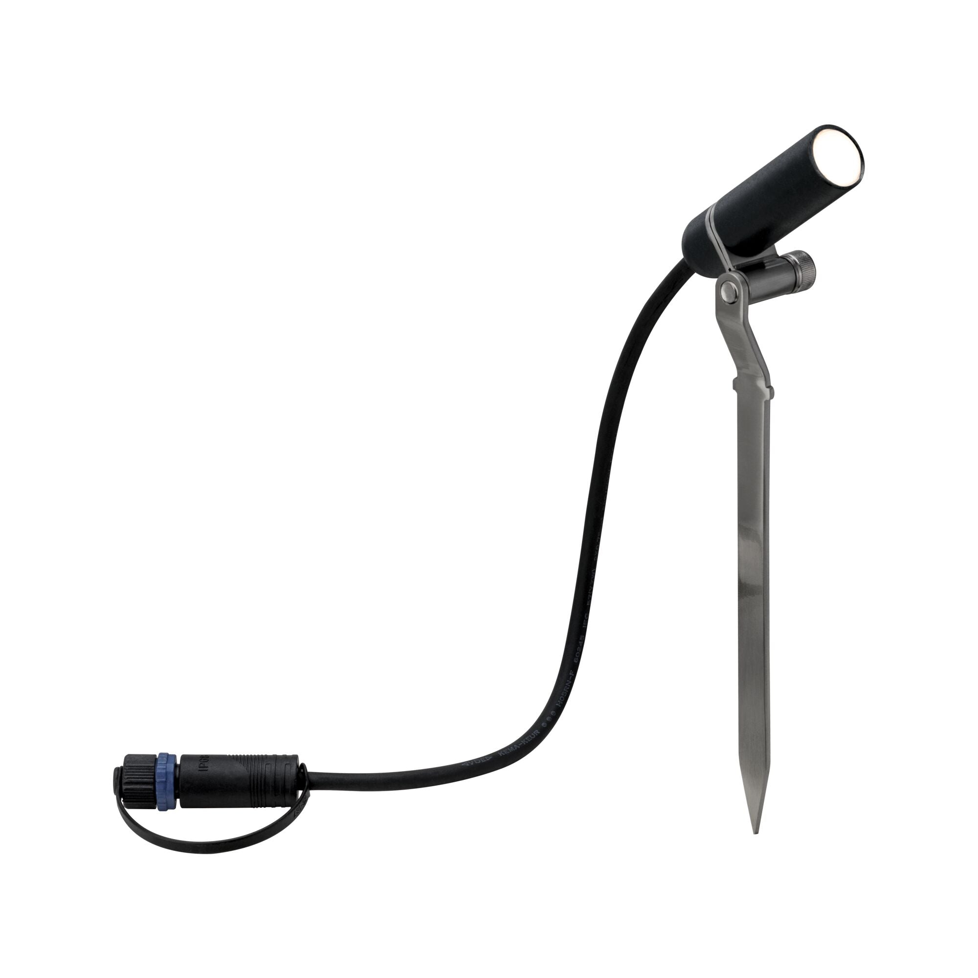 Plantini  Basisset
