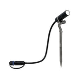 Plantini  Basisset