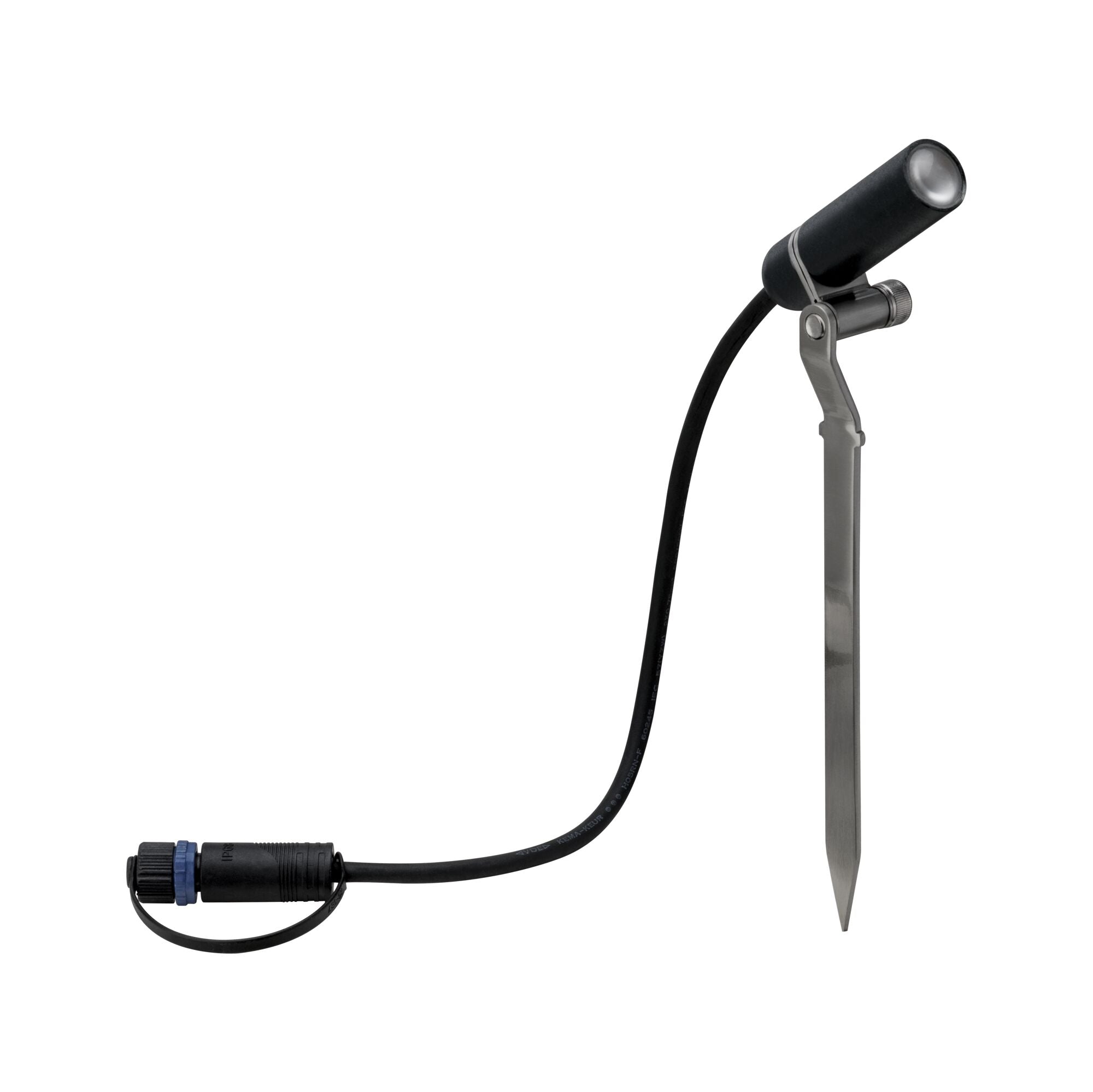 Plantini  Basisset