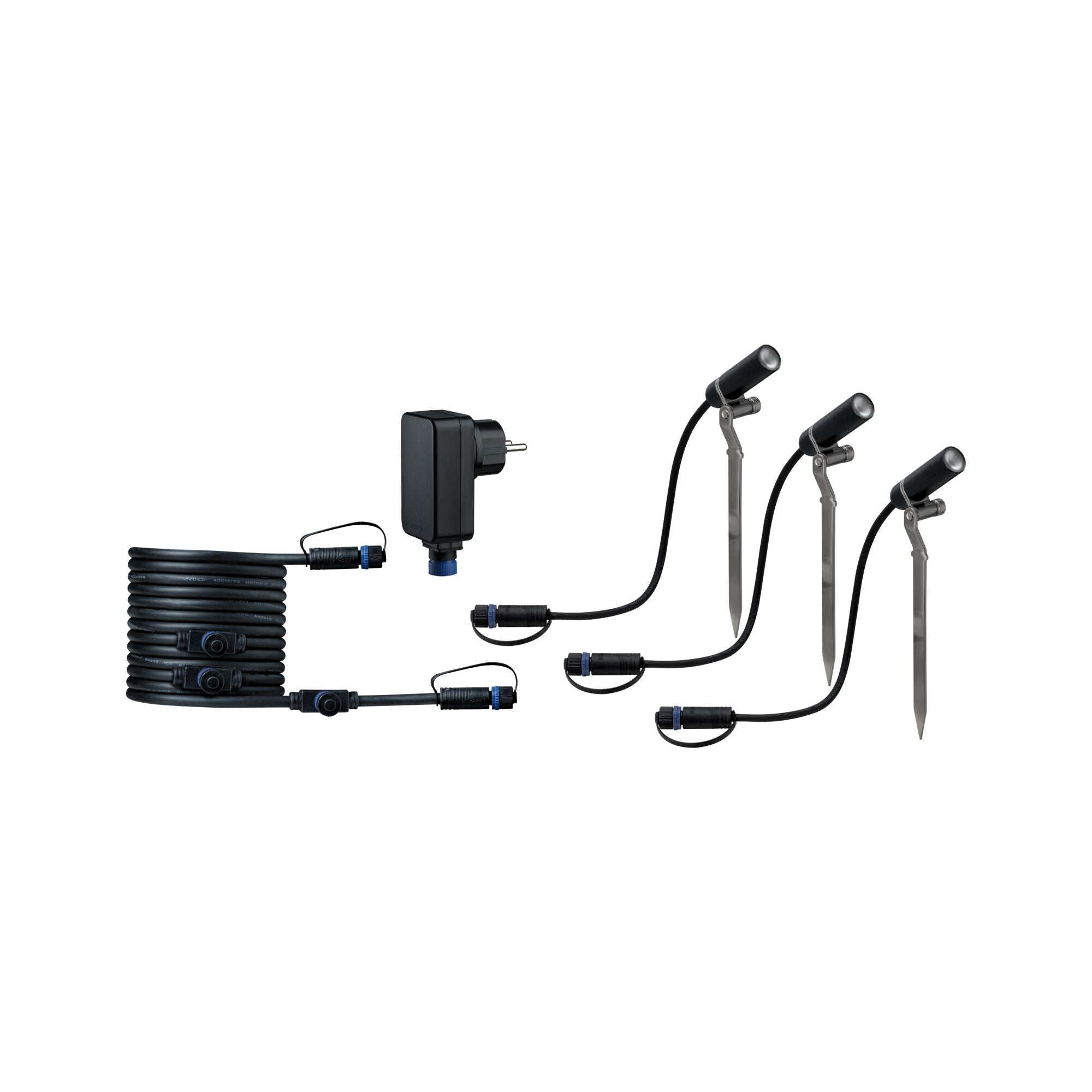 Plantini  Basisset