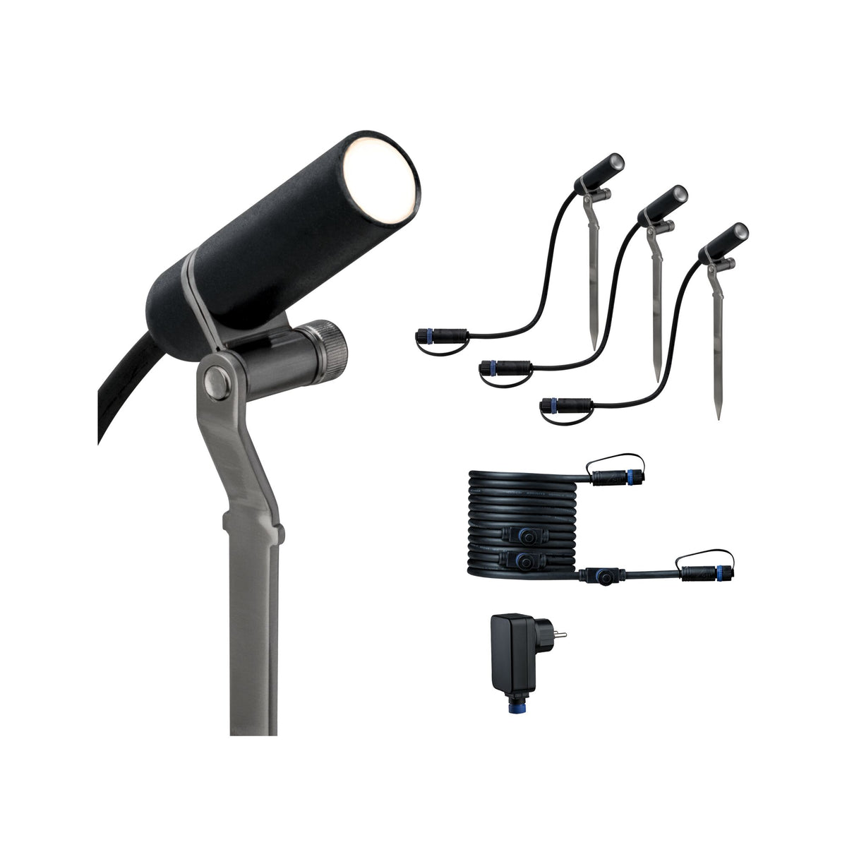 Plantini  Basisset