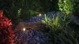 Plantini  Basisset
