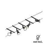 Salt  Basisset