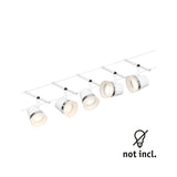 Cone  Basisset