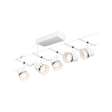 Cone  Basisset