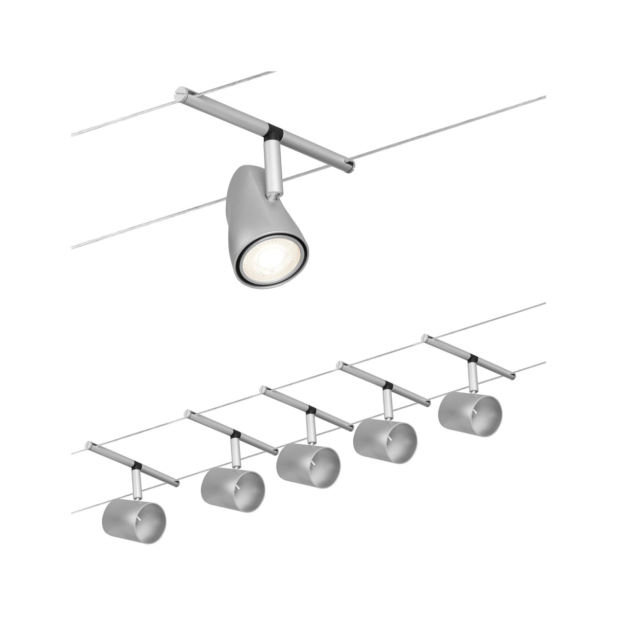 Cup  Basisset