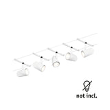 Cup  Basisset