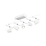 Cup  Basisset