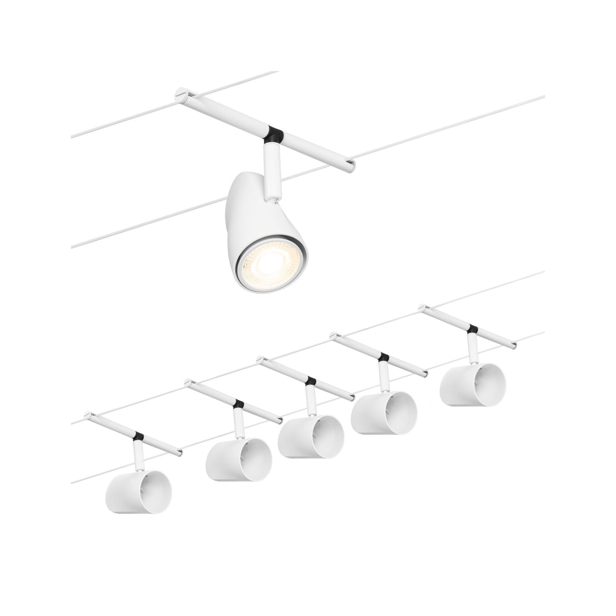 Cup  Basisset