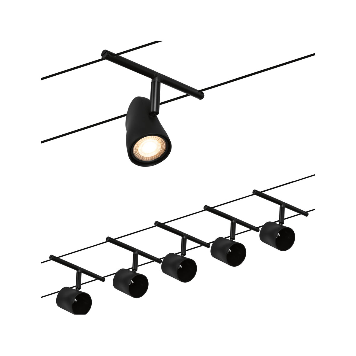 Cup  Basisset