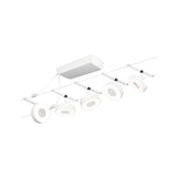 Circle  Basisset