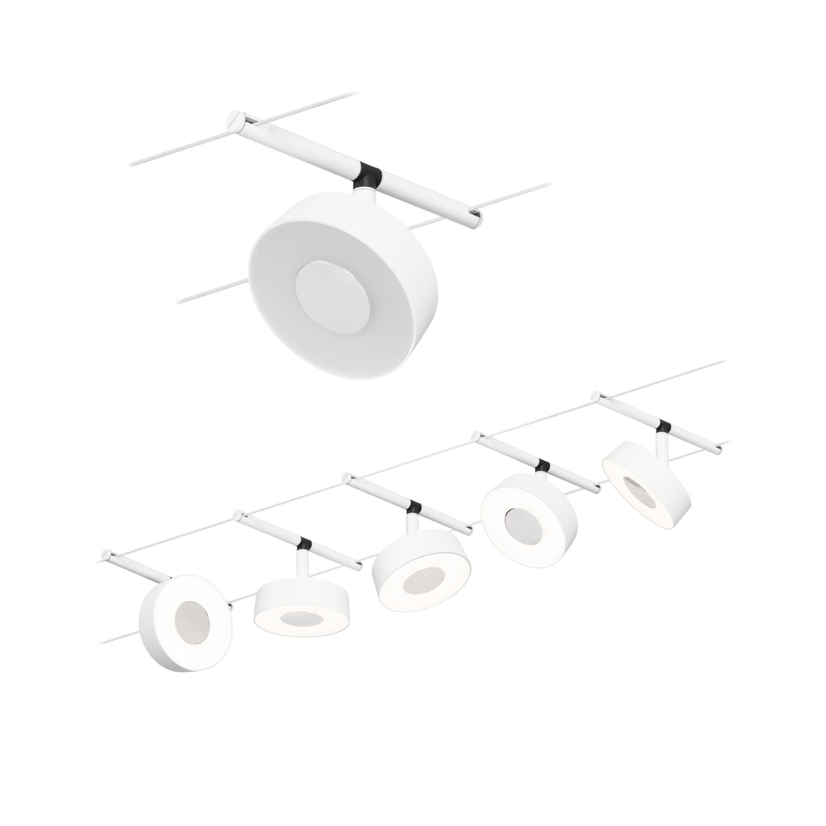 Circle  Basisset