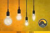 LED Birne  E27