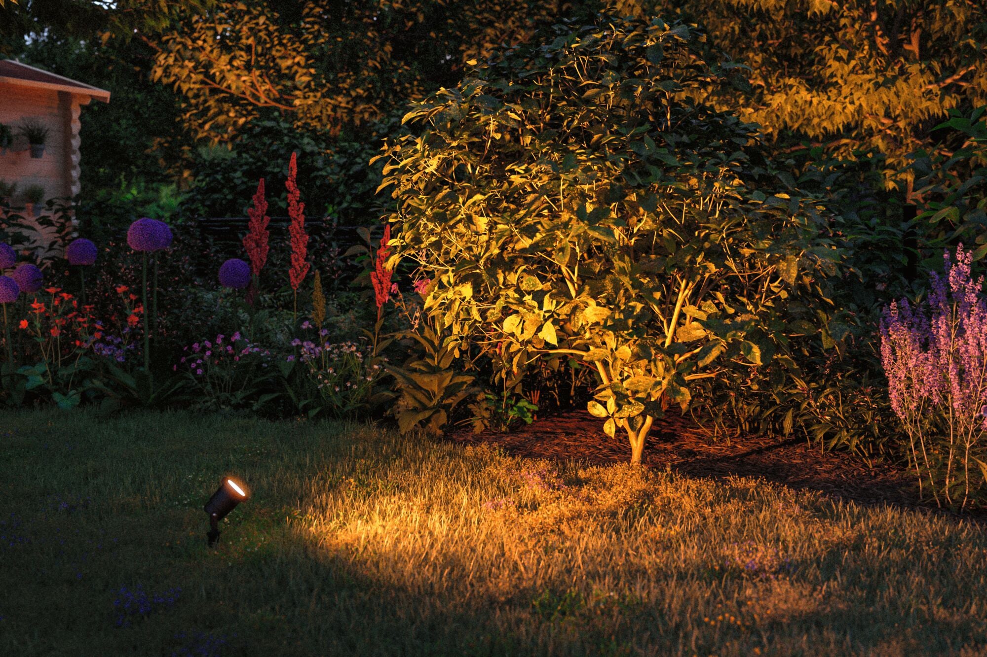Goldlicht