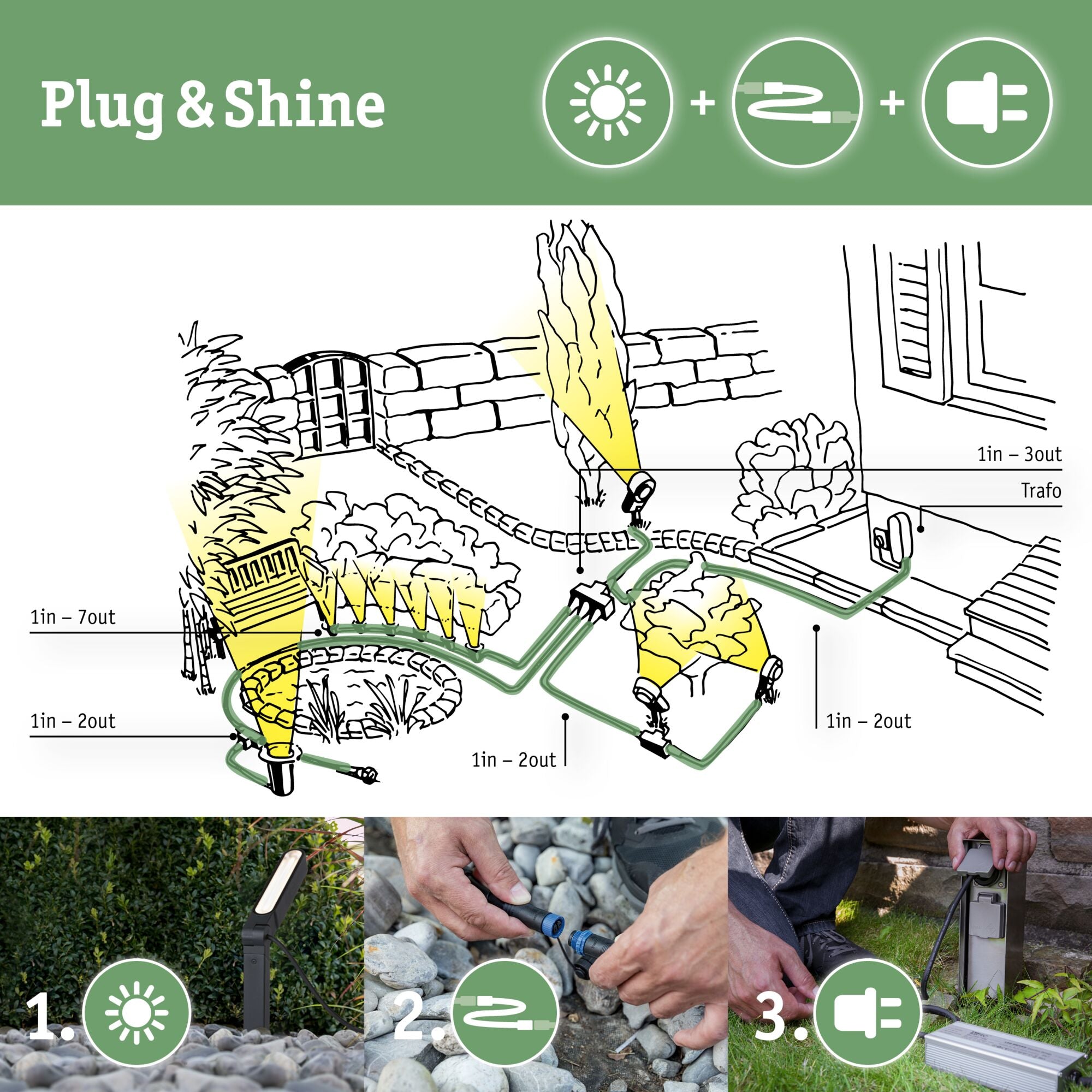 Plantini  Basisset